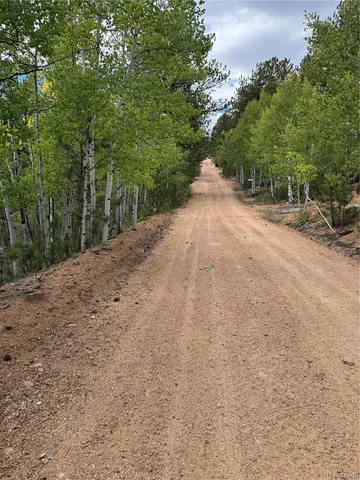 a view of a dirt road with trees in the background