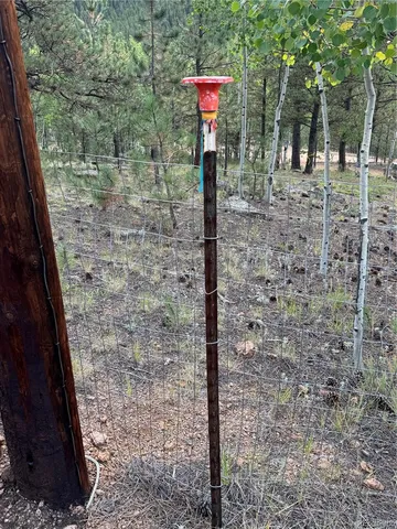 a view of a yard with plants and a bench in the background