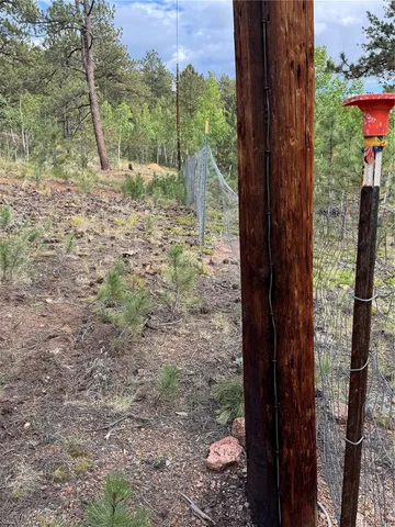 $14,000 | 414 Hall Road, Bailey, CO 80421