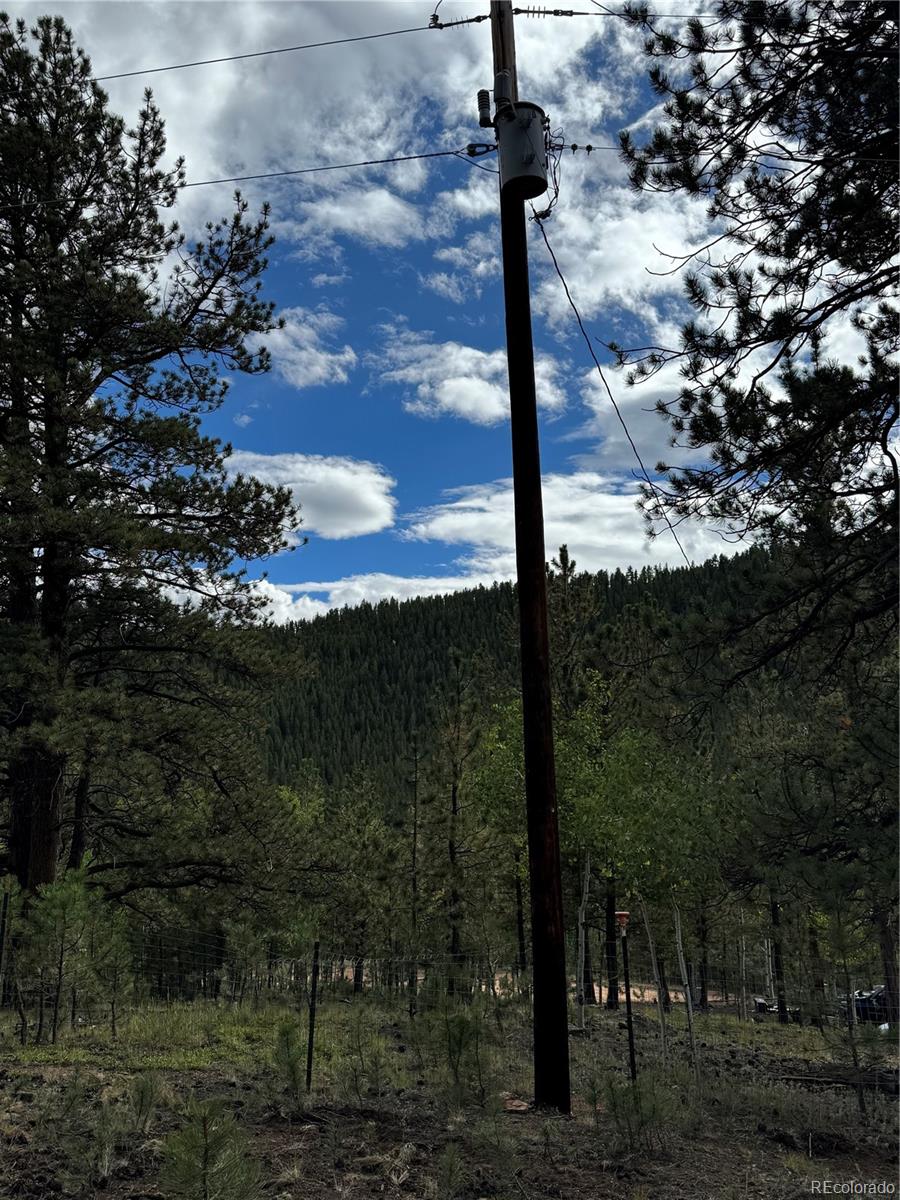 414 Hall Road Bailey, CO 80421 - Photo 7 of 19 a view of a lake in middle of the forest