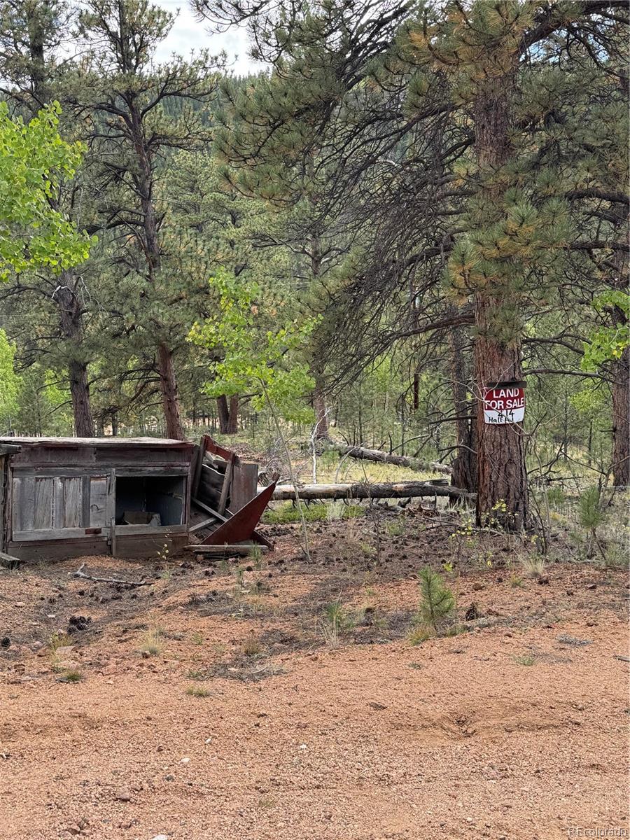 414 Hall Road Bailey, CO 80421 - Photo 9 of 19 a view of a house with a yard