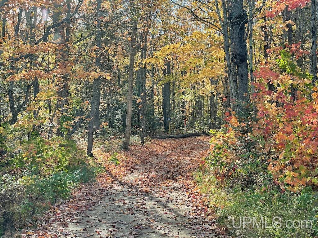 47-13 Carpenter Lake Road Seney, MI 49883 - Photo 16 of 18