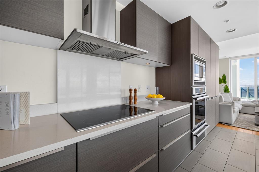 175 1st Street South, Unit 2107 St. Petersburg, FL 33701 - Photo 11 of 52 Gallery Image 11