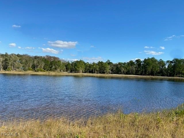 740 Harcourt Avenue Lehigh Acres, FL 33974 - Photo 7 of 7 a view of lake