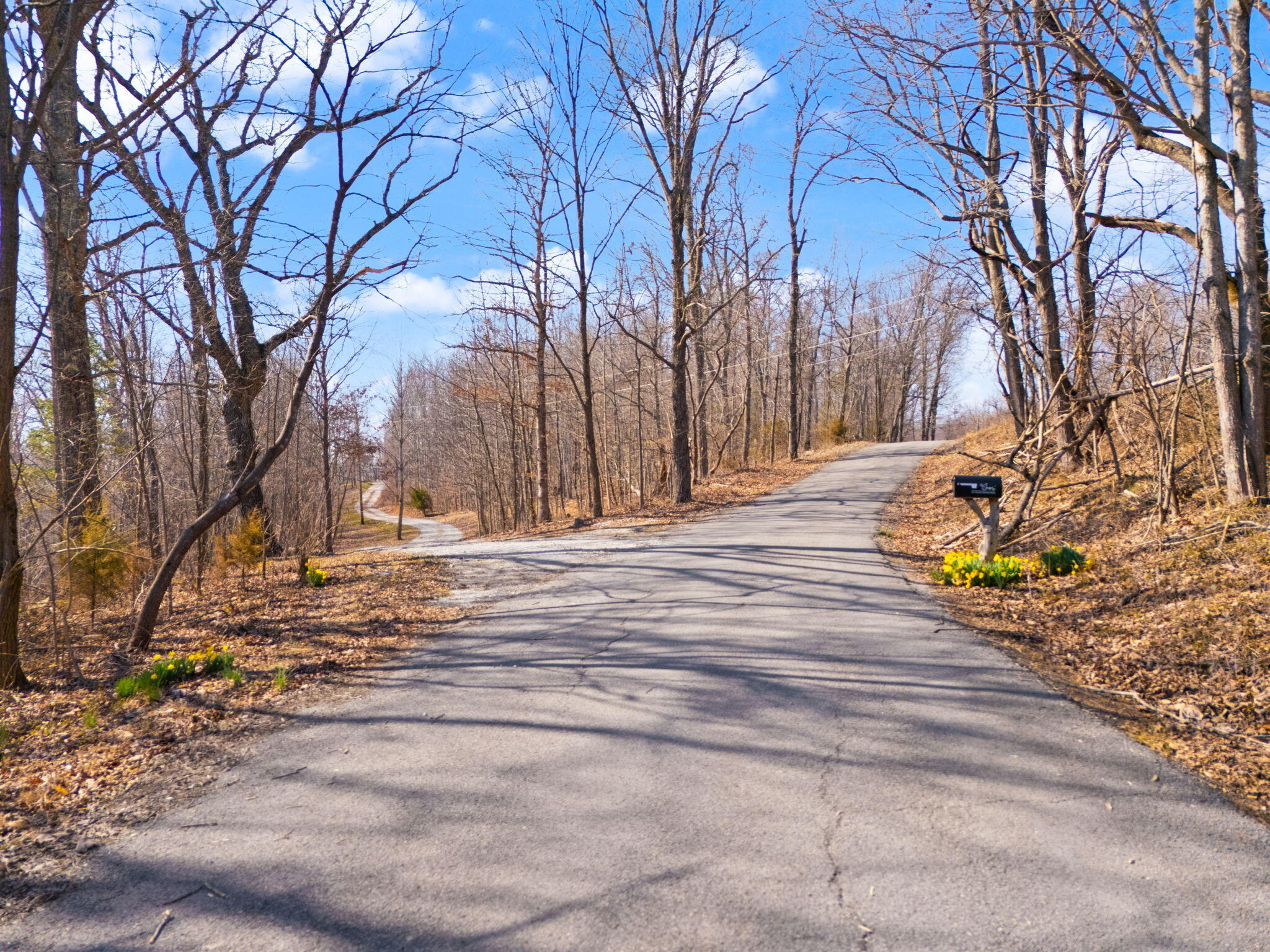 111 Austin Denham Road Somerset, KY 42501 - Photo 58 of 64 58-web-or-mls-DJI_20250311155857_0303_D