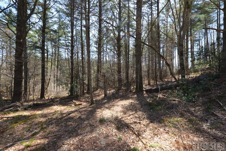 On View Point Road Highlands, NC 28741 - Photo 7 of 7 Gallery Image 7