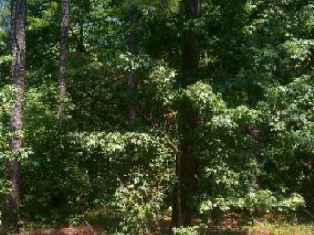 1131 Maple Ridge Way Greensboro, GA 30642 - Photo 1 of 1 Gallery Image 1
