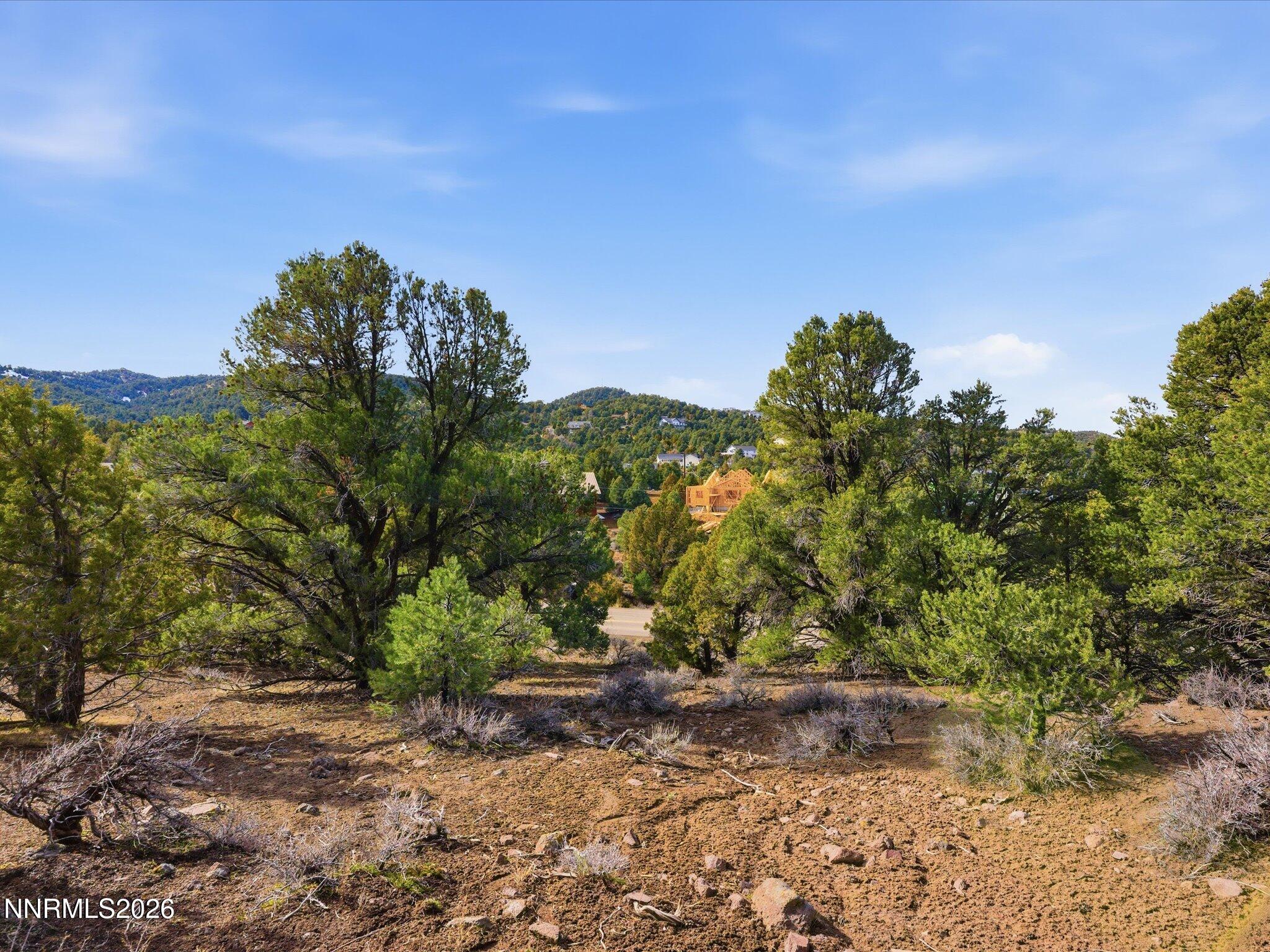 1859 Lousetown Road Reno, NV 89521 - Photo 4 of 34 a view of a yard with a tree
