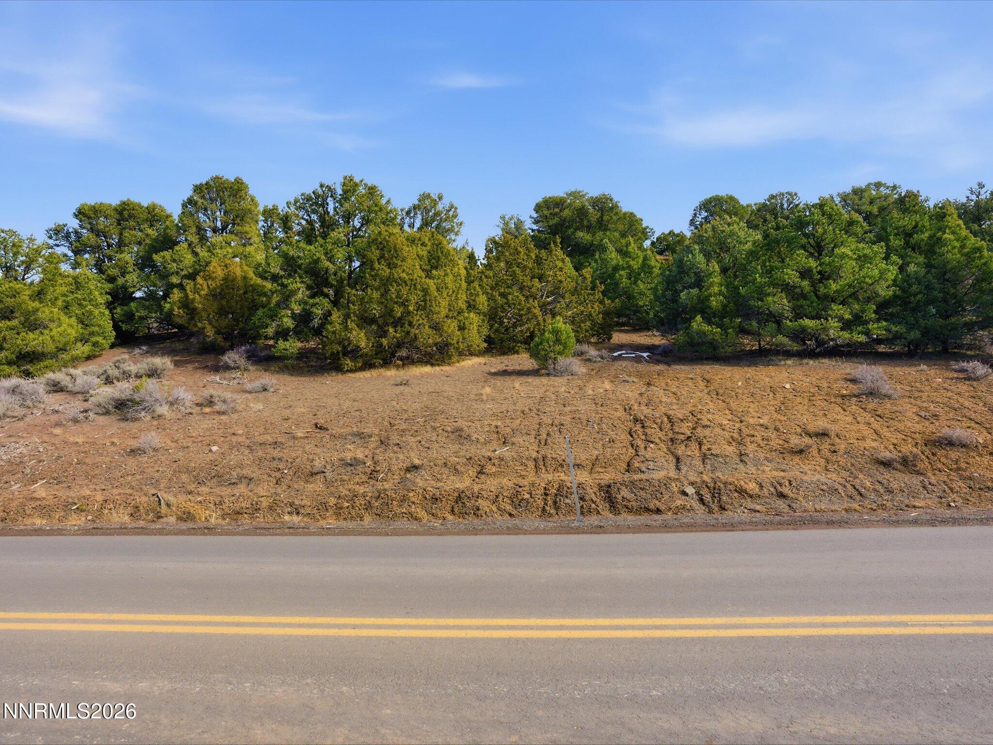 1859 Lousetown Road Reno, NV 89521 - Photo 7 of 34 a view of a yard with wooden fence