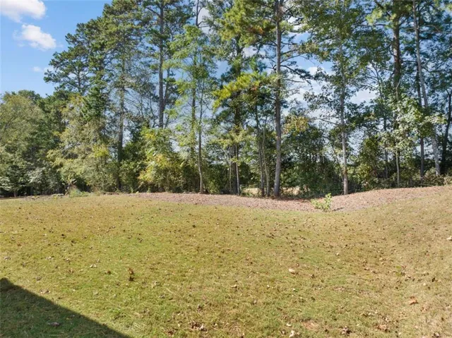 a view of outdoor space and yard