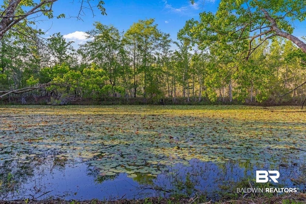 11100 Kali Oka Road Eight Mile, AL 36613 - Photo 15 of 49