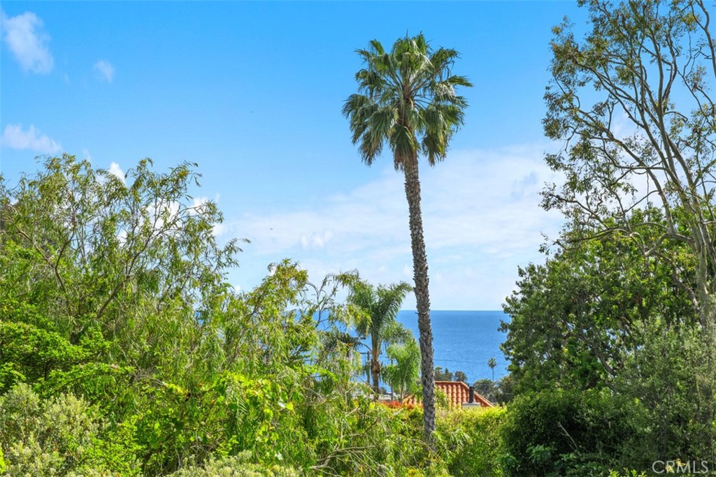 421 High Drive Laguna Beach, CA 92651 - Photo 24 of 42 a plant that is in front of a building