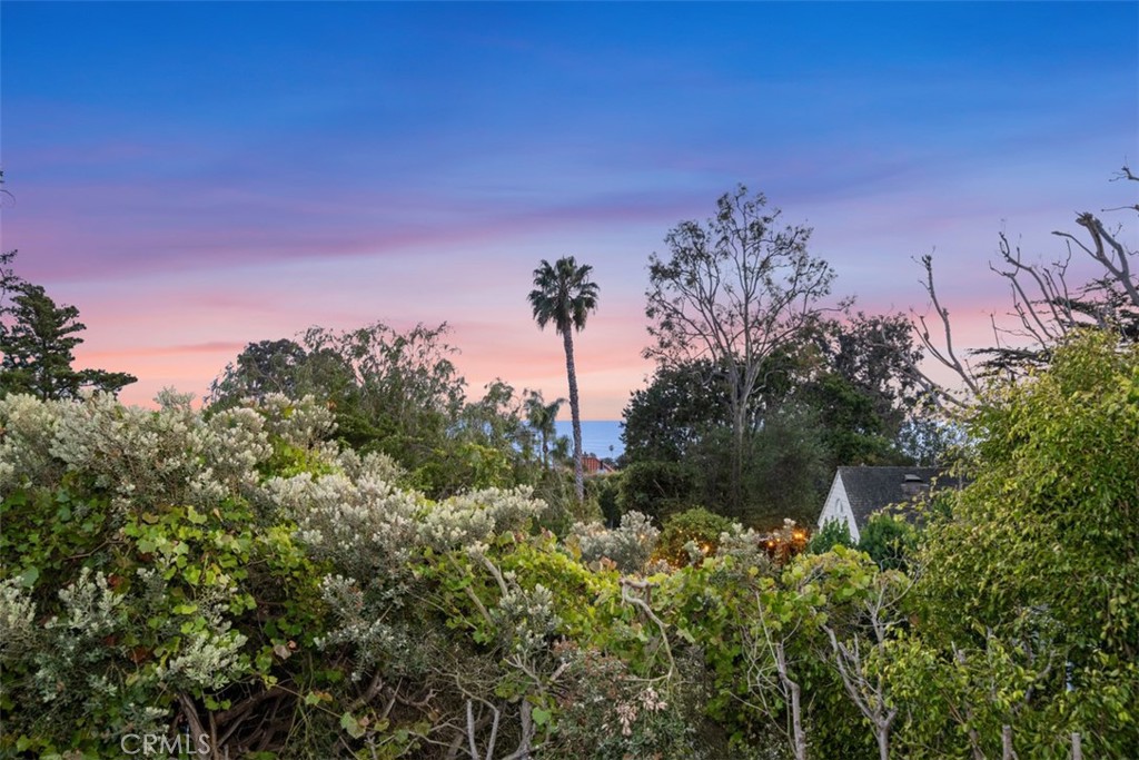 421 High Drive Laguna Beach, CA 92651 - Photo 27 of 42 a backyard of a house with lots of green space