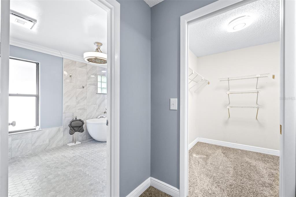 3404 Brian Road South Palm Harbor, FL 34685 - Photo 24 of 71