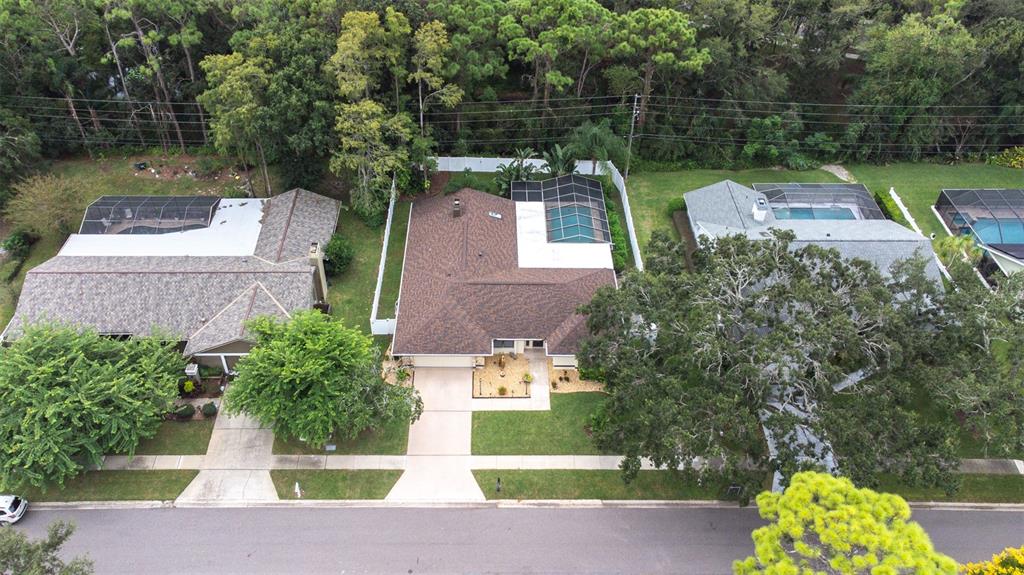 3404 Brian Road South Palm Harbor, FL 34685 - Photo 63 of 71 a view of a chairs and table in the patio