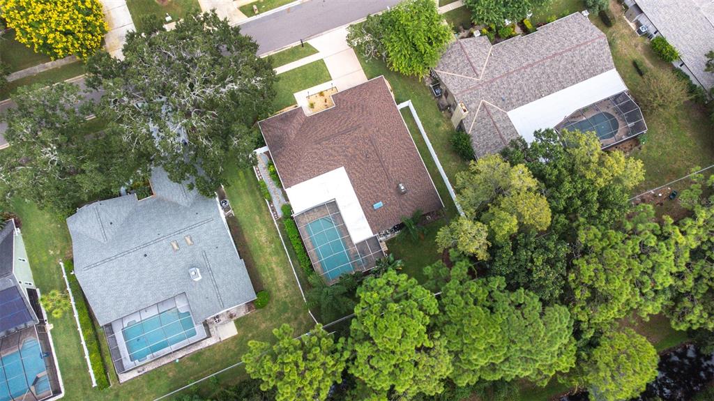 3404 Brian Road South Palm Harbor, FL 34685 - Photo 66 of 71