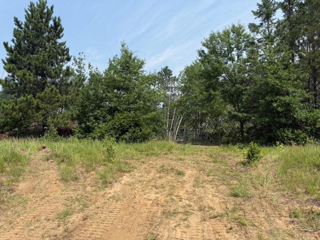 0 Power Dam Road Northeast Bemidji, MN 56601 - Photo 6 of 13