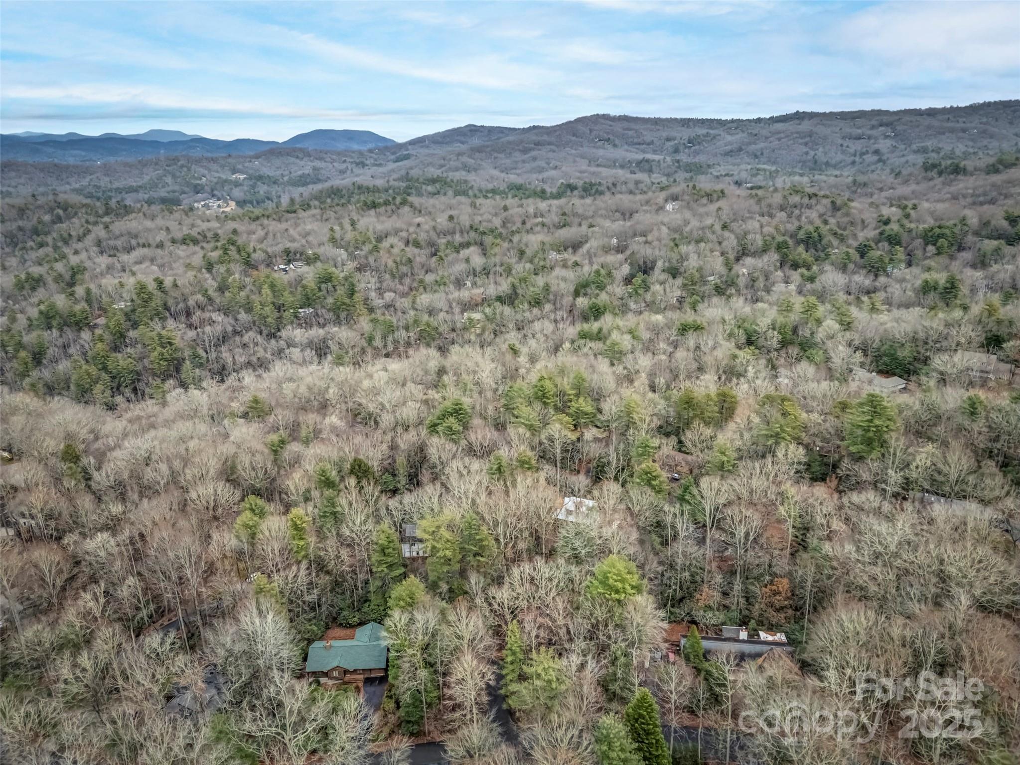 531 Three Mile Knob Road Pisgah Forest, NC 28768 - Photo 30 of 37 a view of a dry field