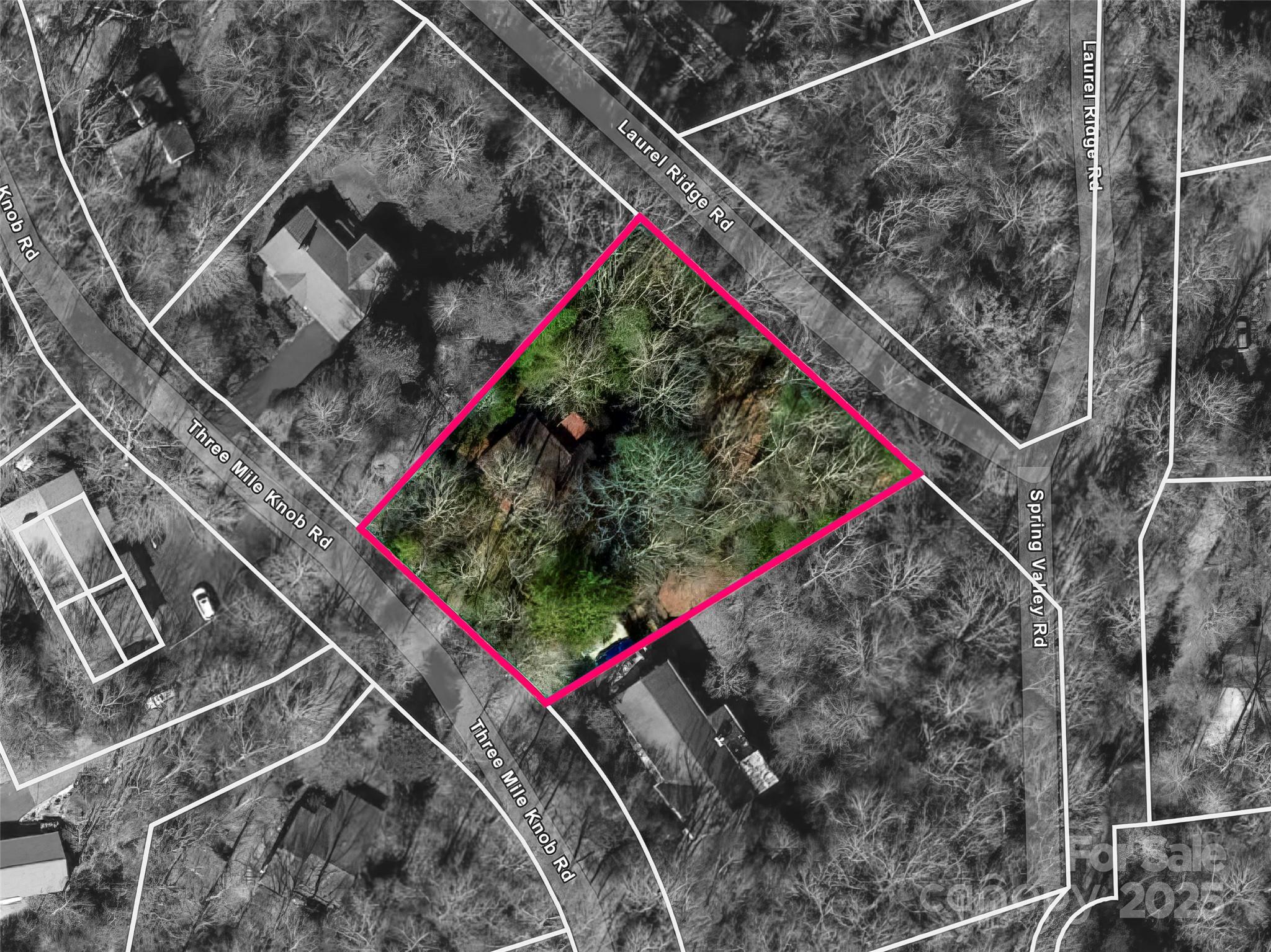 531 Three Mile Knob Road Pisgah Forest, NC 28768 - Photo 36 of 37