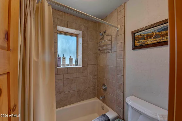 a bathroom with a shower and a toilet