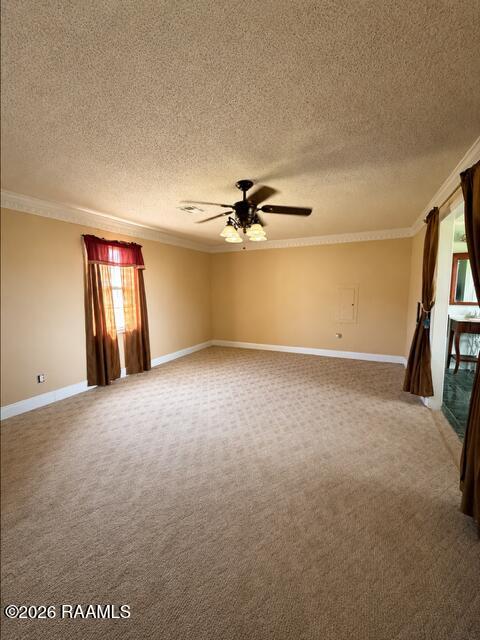 359 Cheramie Road Port Barre, LA 70577 - Photo 7 of 13