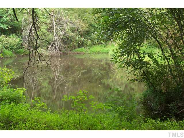44 Barnes Road Middlesex, NC 27557 - Photo 4 of 5 Small pond on the property