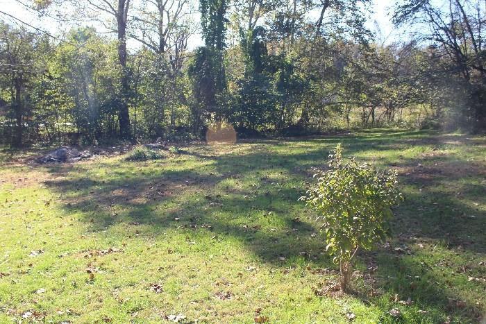 15950 Ellis Road Amanda, OH 43102 - Photo 28 of 37