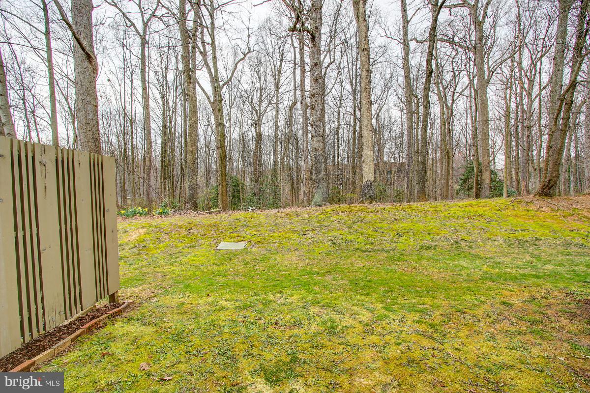 2218 Glencourse Lane Reston, VA 20191 - Photo 29 of 30 Backyard backs to trees & common area