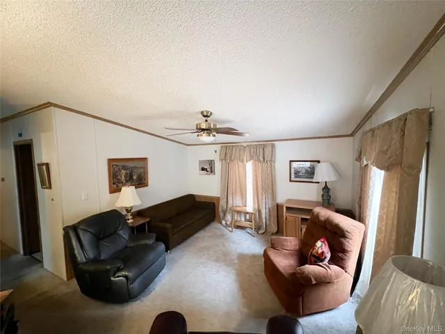 a living room with furniture ceiling fan and a rug