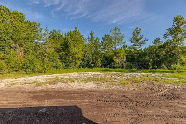 $369,000 | 254 Satilla Sands Drive, Waynesville, GA 31566