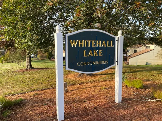 a sign board with tall trees