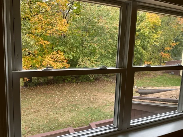 a view of a yard with a tree