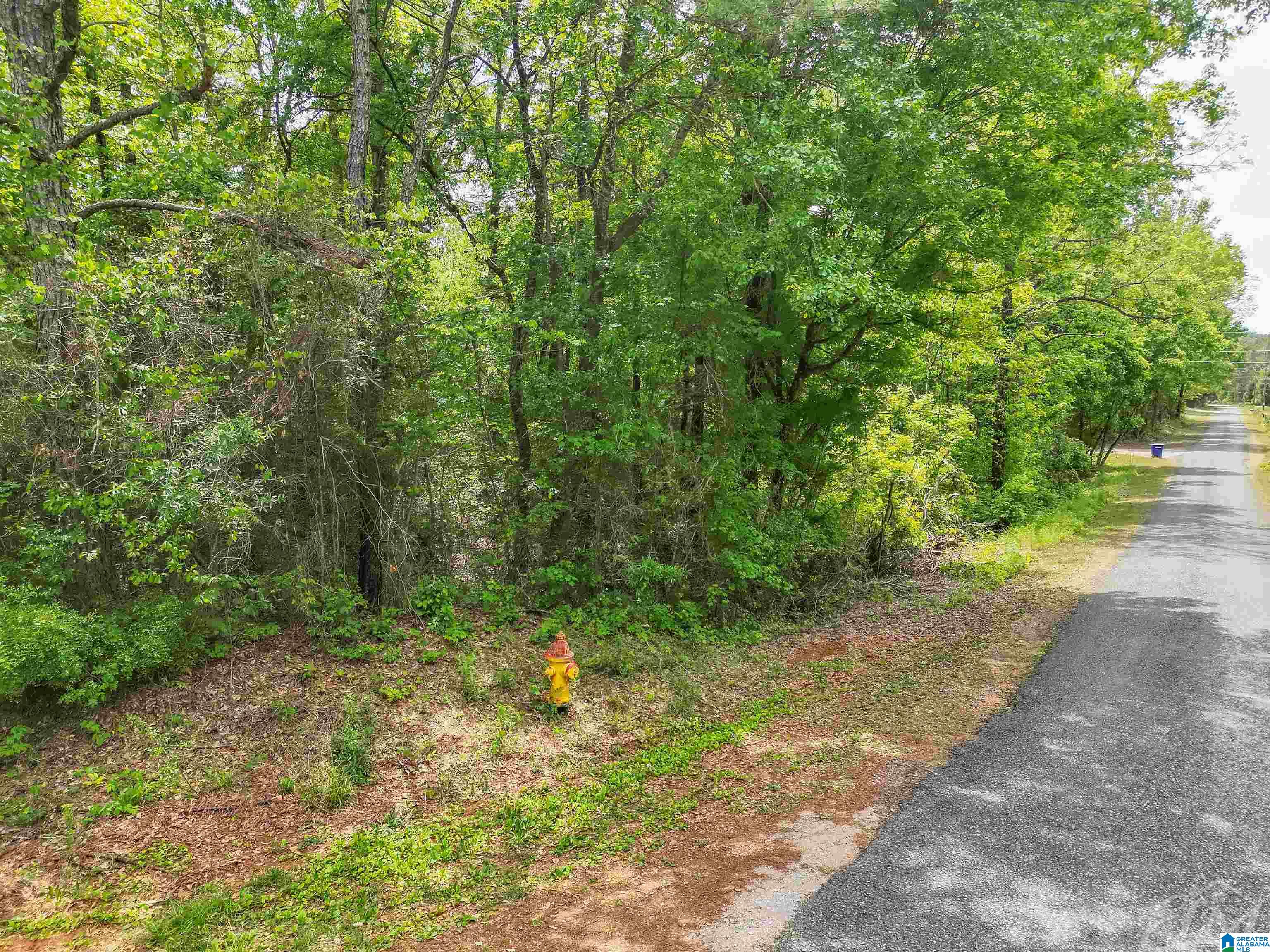 0 Moreland Road, Unit 1 Brierfield, AL 35035 - Photo 4 of 15
