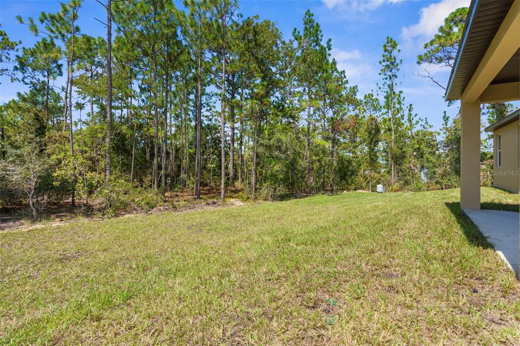 16143 Penn State Road Weeki Wachee, FL 34614 - Photo 35 of 45 a view of yard with green space