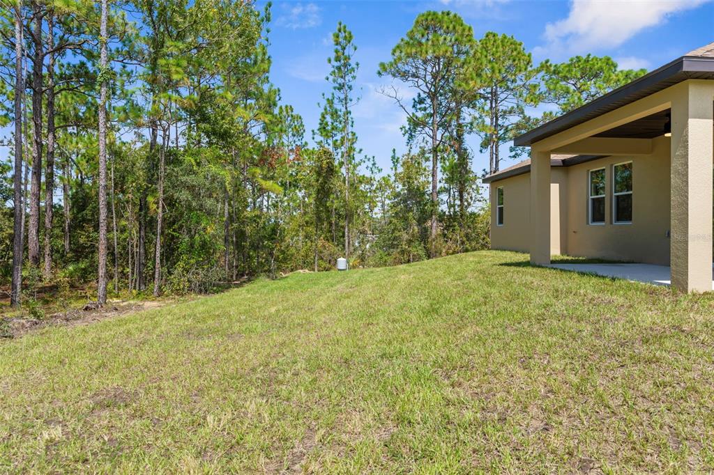 16143 Penn State Road Weeki Wachee, FL 34614 - Photo 42 of 45 a view of a backyard with plants and large tree
