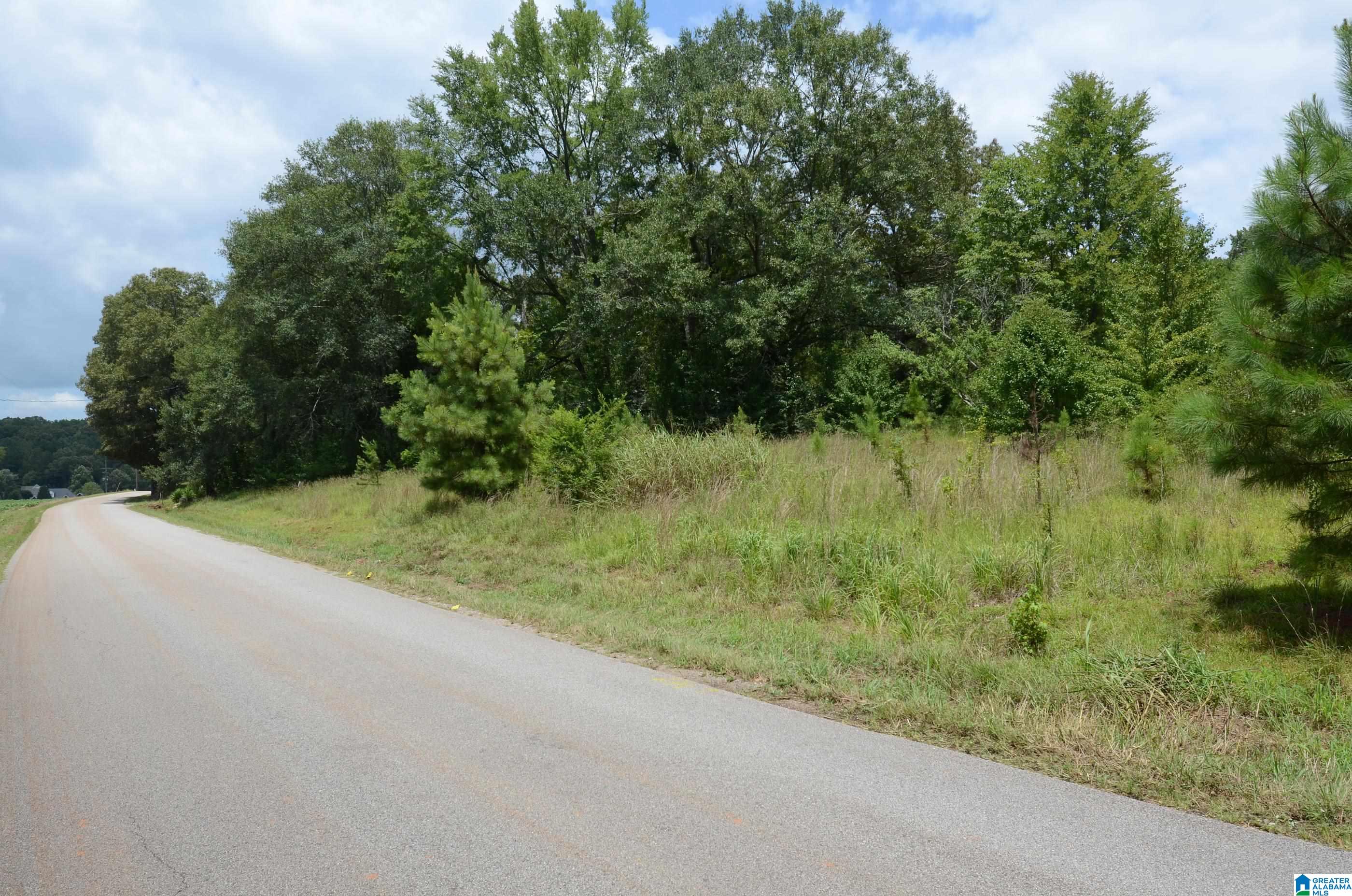 2505 Old Downing Ml Road Anniston, AL 36207 - Photo 1 of 1