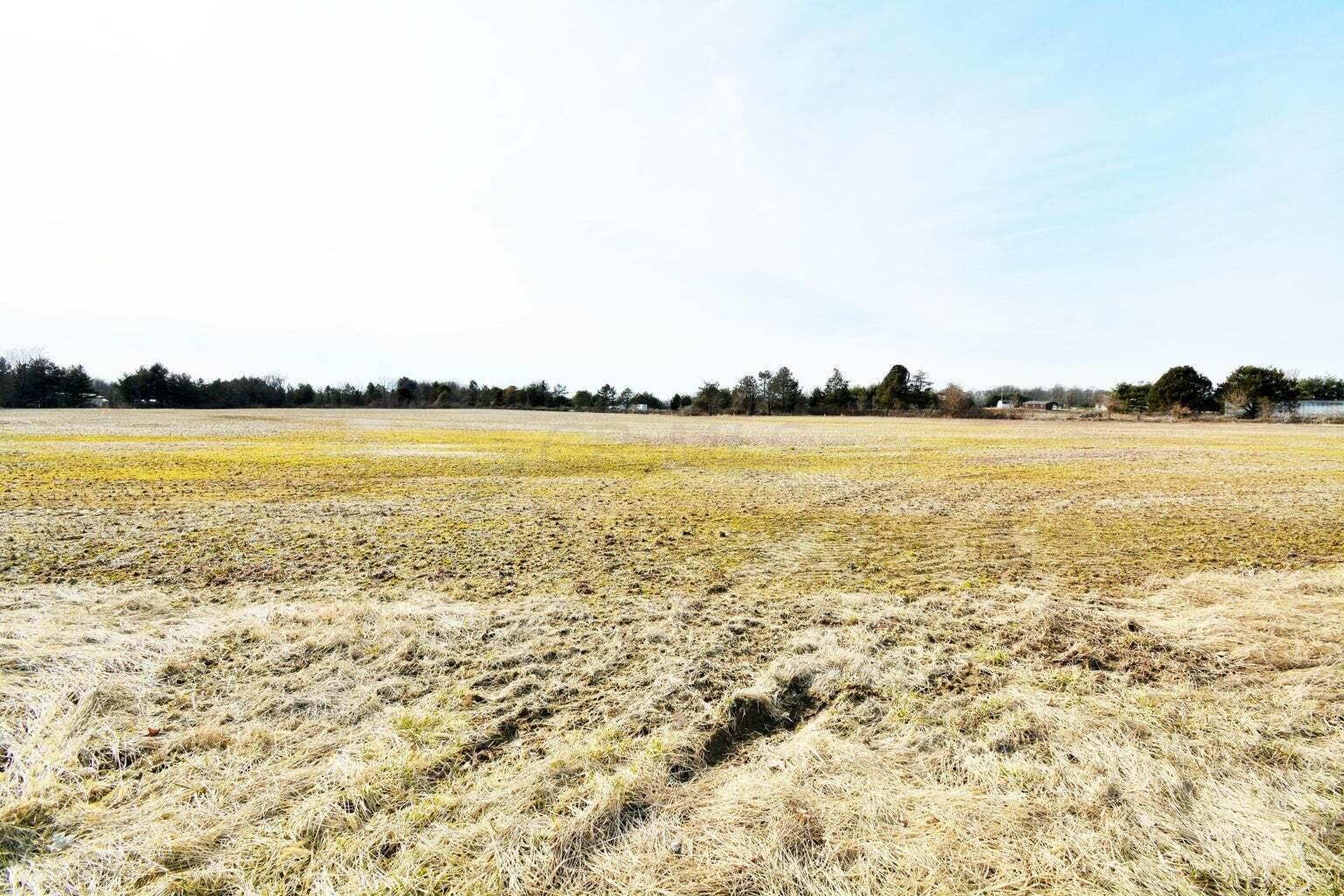 4 Carters Corner Road Sunbury, OH 43074 - Photo 8 of 15 20220305035859909930000000-o