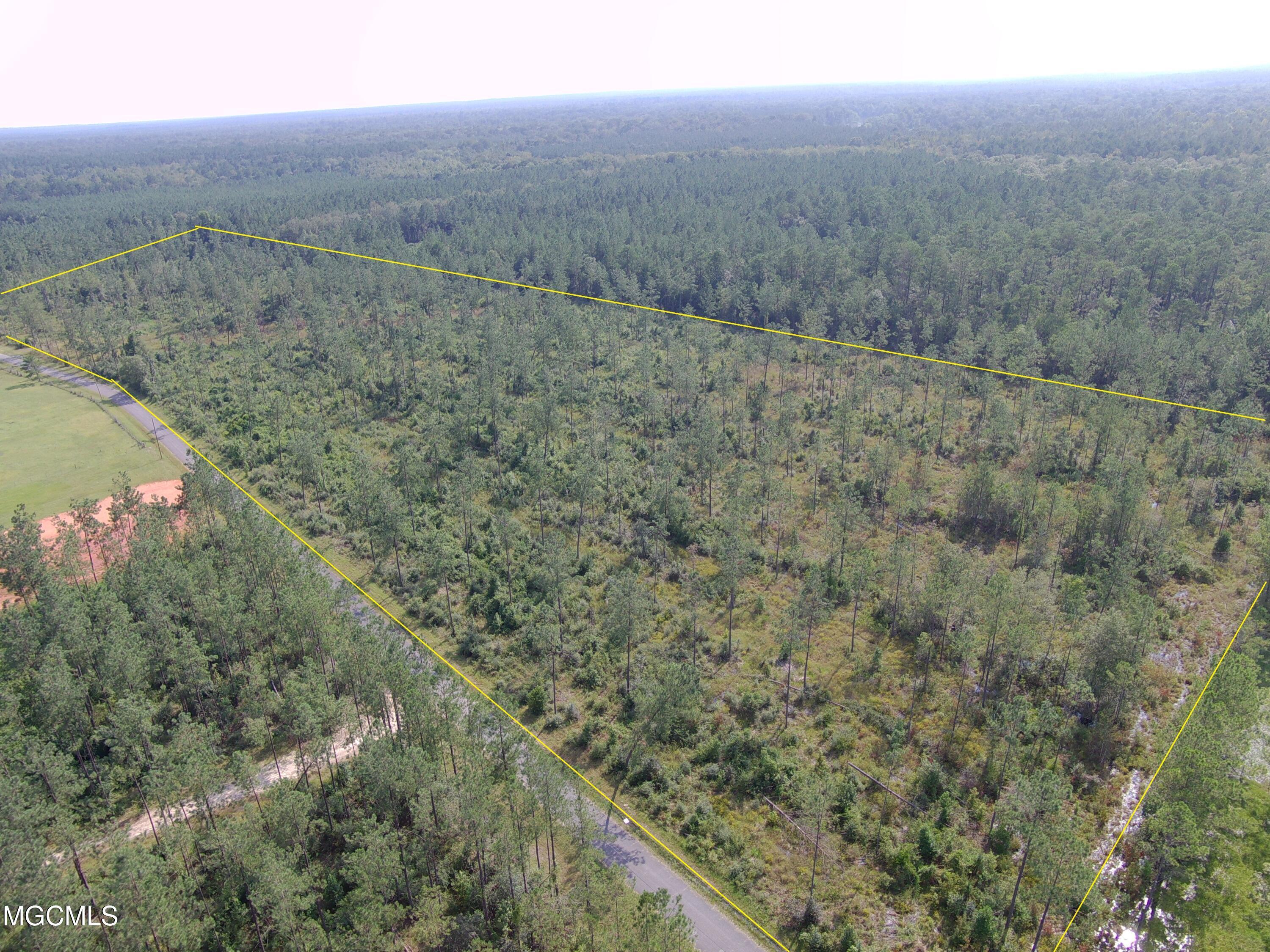 26-acres Merritt Road Leakesville, MS 39451 - Photo 1 of 12 UPAIR000062x