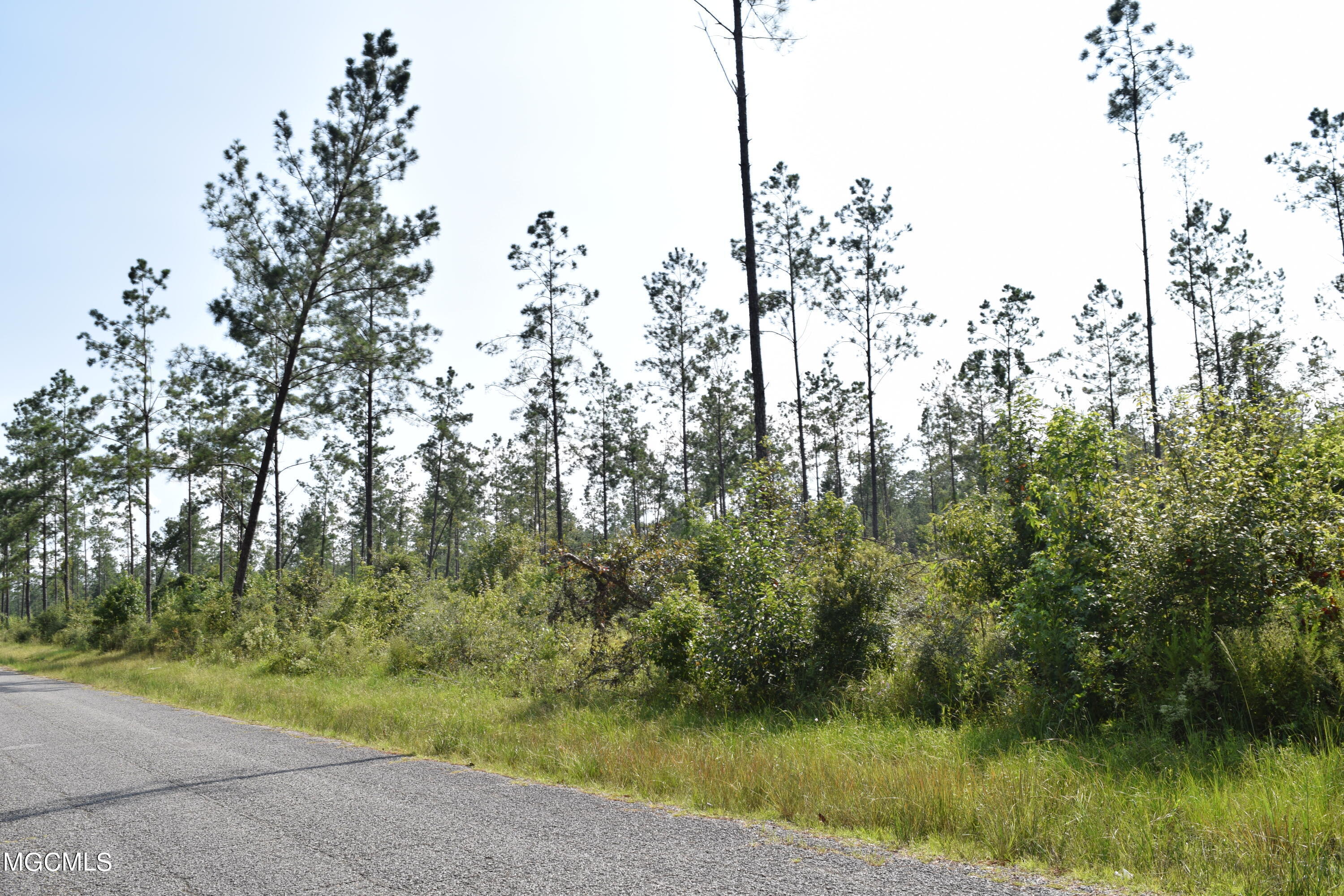 26-acres Merritt Road Leakesville, MS 39451 - Photo 3 of 12 DSC_0877
