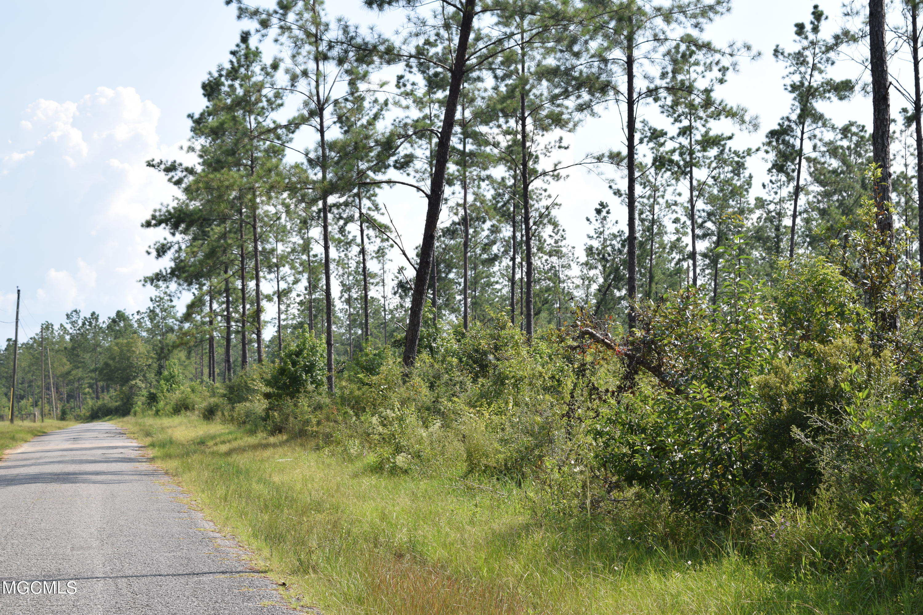 26-acres Merritt Road Leakesville, MS 39451 - Photo 4 of 12 DSC_0878