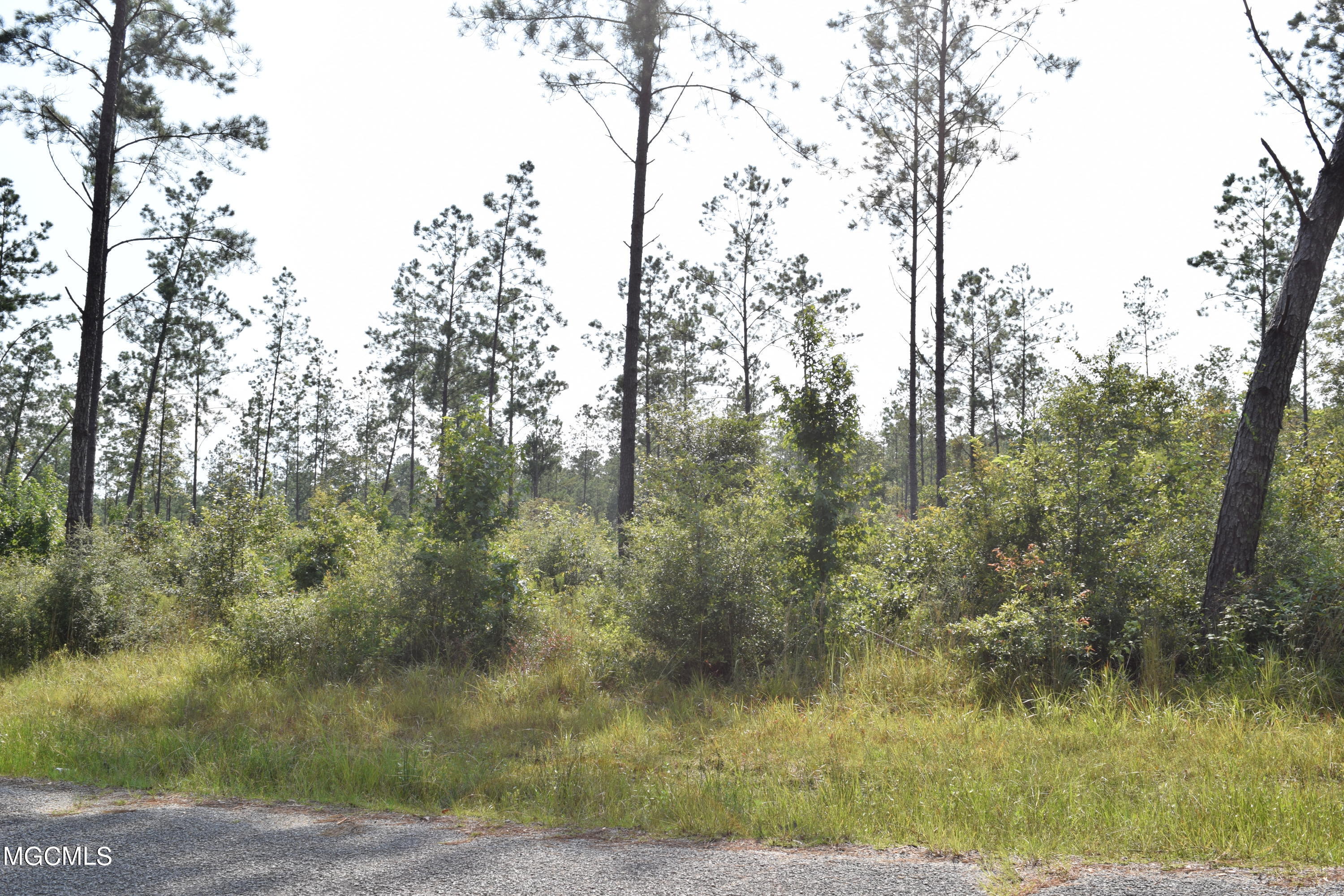 26-acres Merritt Road Leakesville, MS 39451 - Photo 5 of 12 DSC_0879