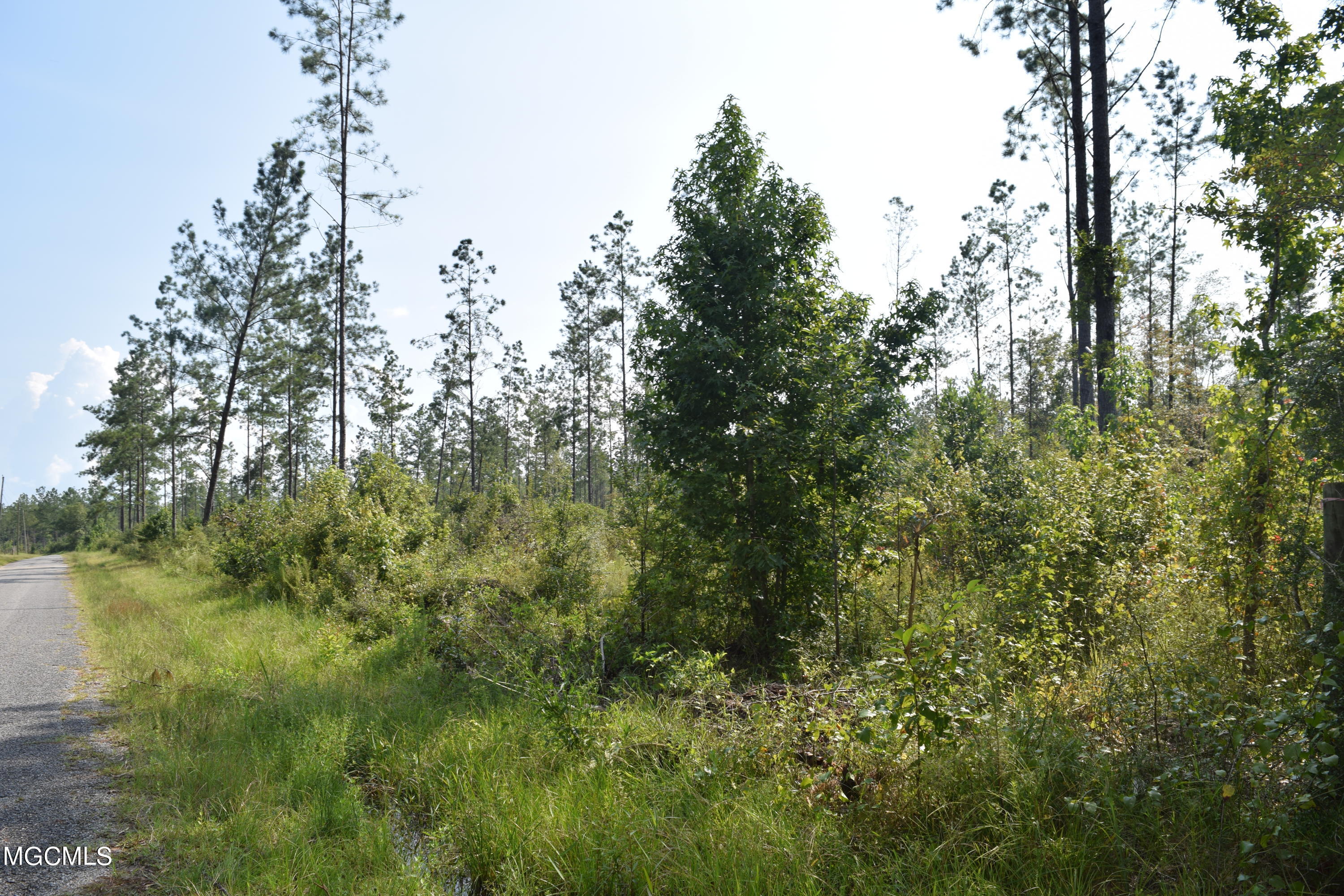 26-acres Merritt Road Leakesville, MS 39451 - Photo 7 of 12 DSC_0882