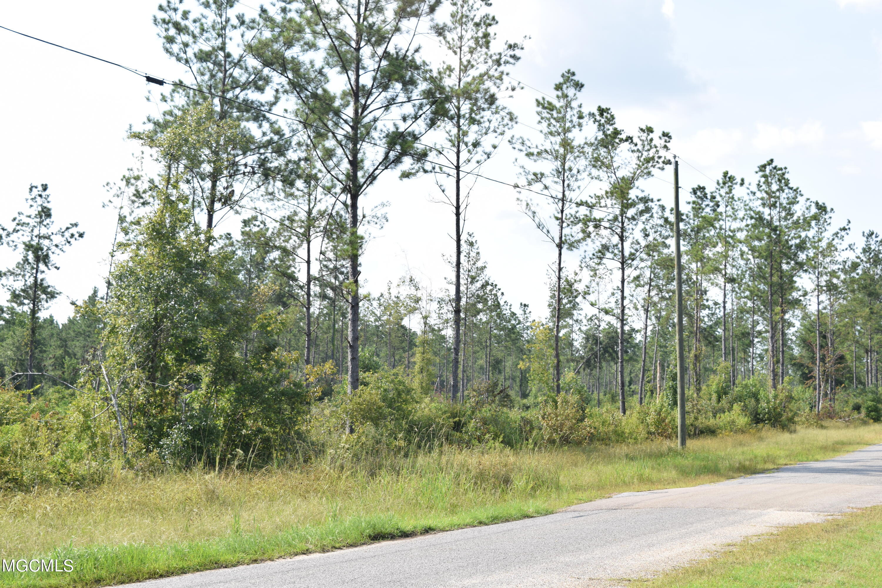 26-acres Merritt Road Leakesville, MS 39451 - Photo 8 of 12 DSC_0897
