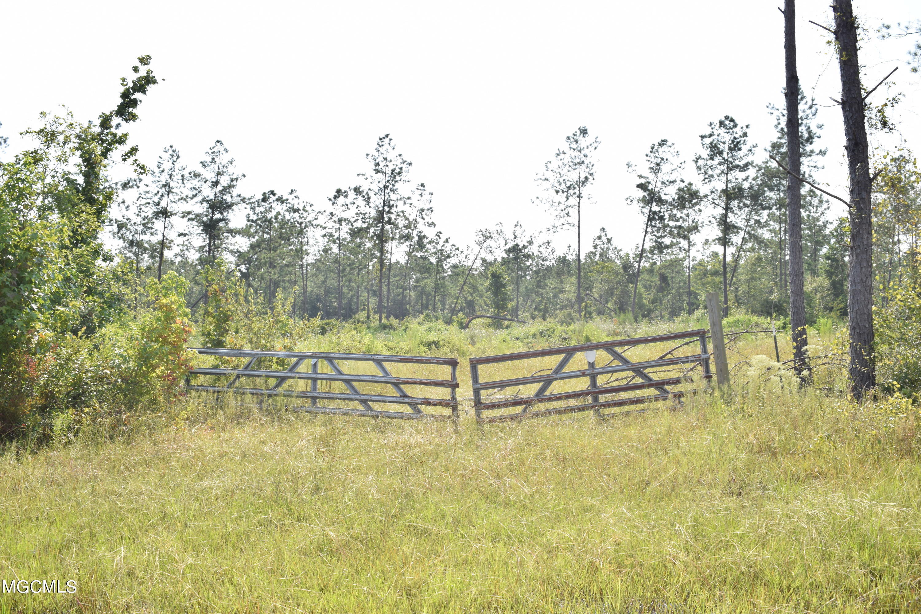 26-acres Merritt Road Leakesville, MS 39451 - Photo 10 of 12 DSC_0901