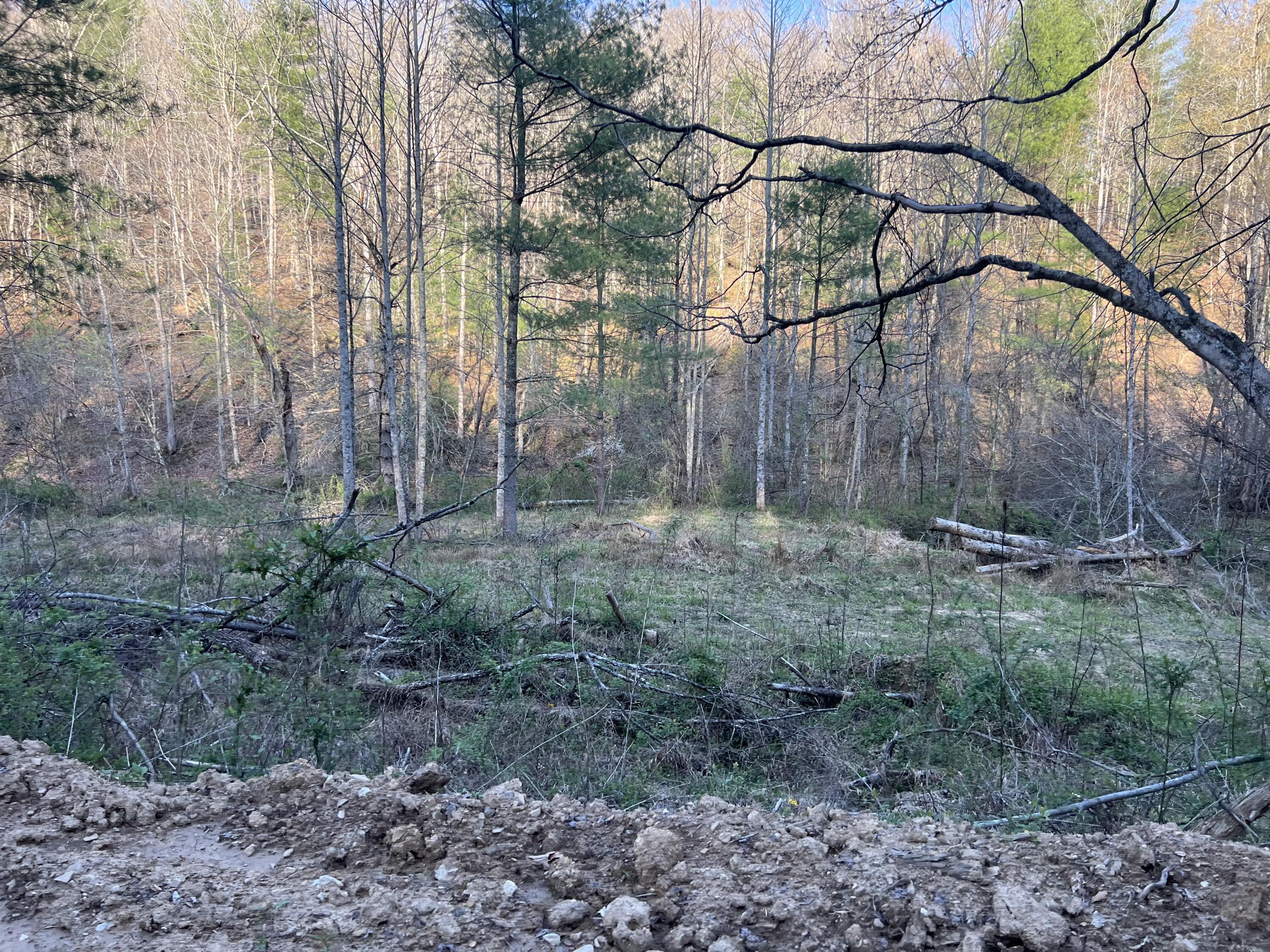 2000 Tbd Stamper Branch Campton, KY 41301 - Photo 31 of 47 Photo Apr 15, 6 21 57 PM