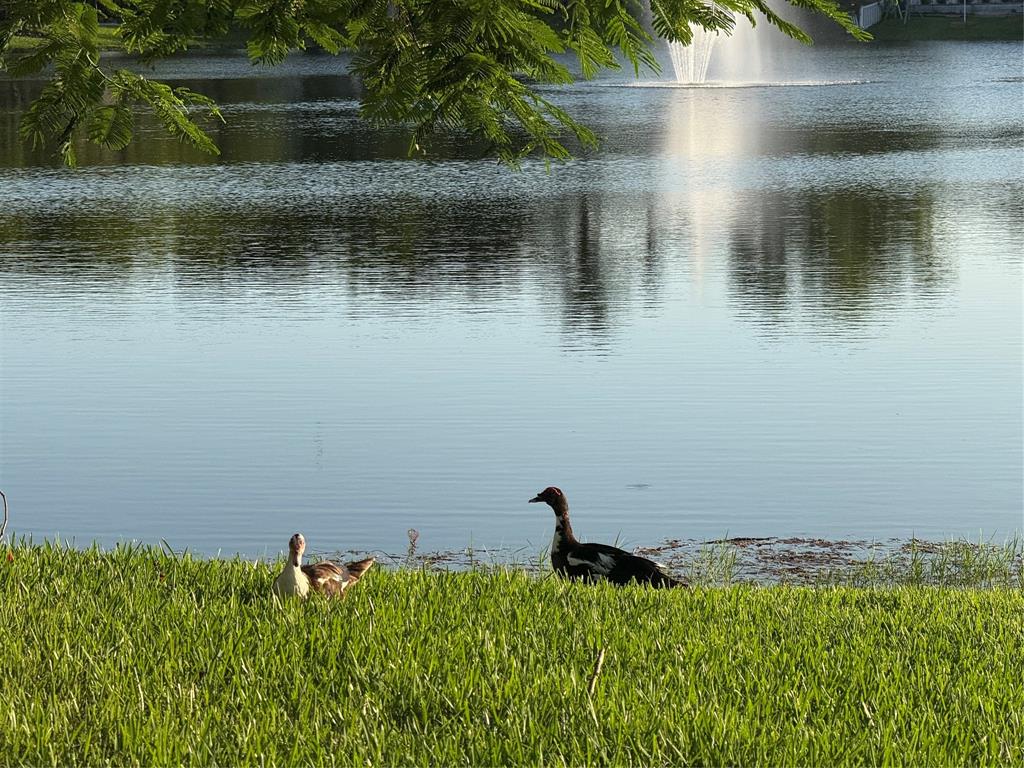 9237 Northwest 9th Place, Unit 9237 Plantation, FL 33324 - Photo 35 of 44 a view of a lake view