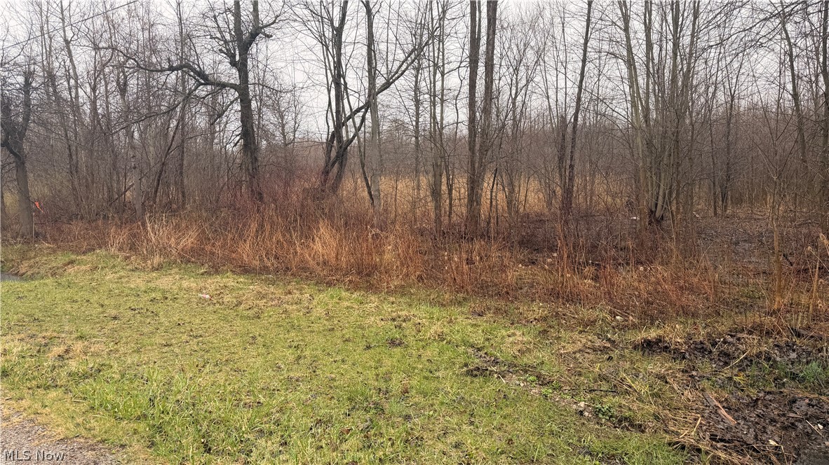 Ninevah Road Geneva, OH 44041 - Photo 2 of 20