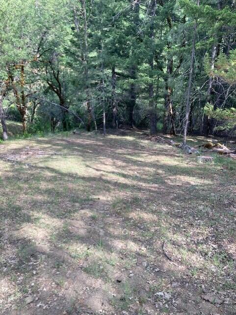 395 East Van Duzen Road Bridgeville, CA 95526 - Photo 16 of 19 a backyard of a house with lots of green space
