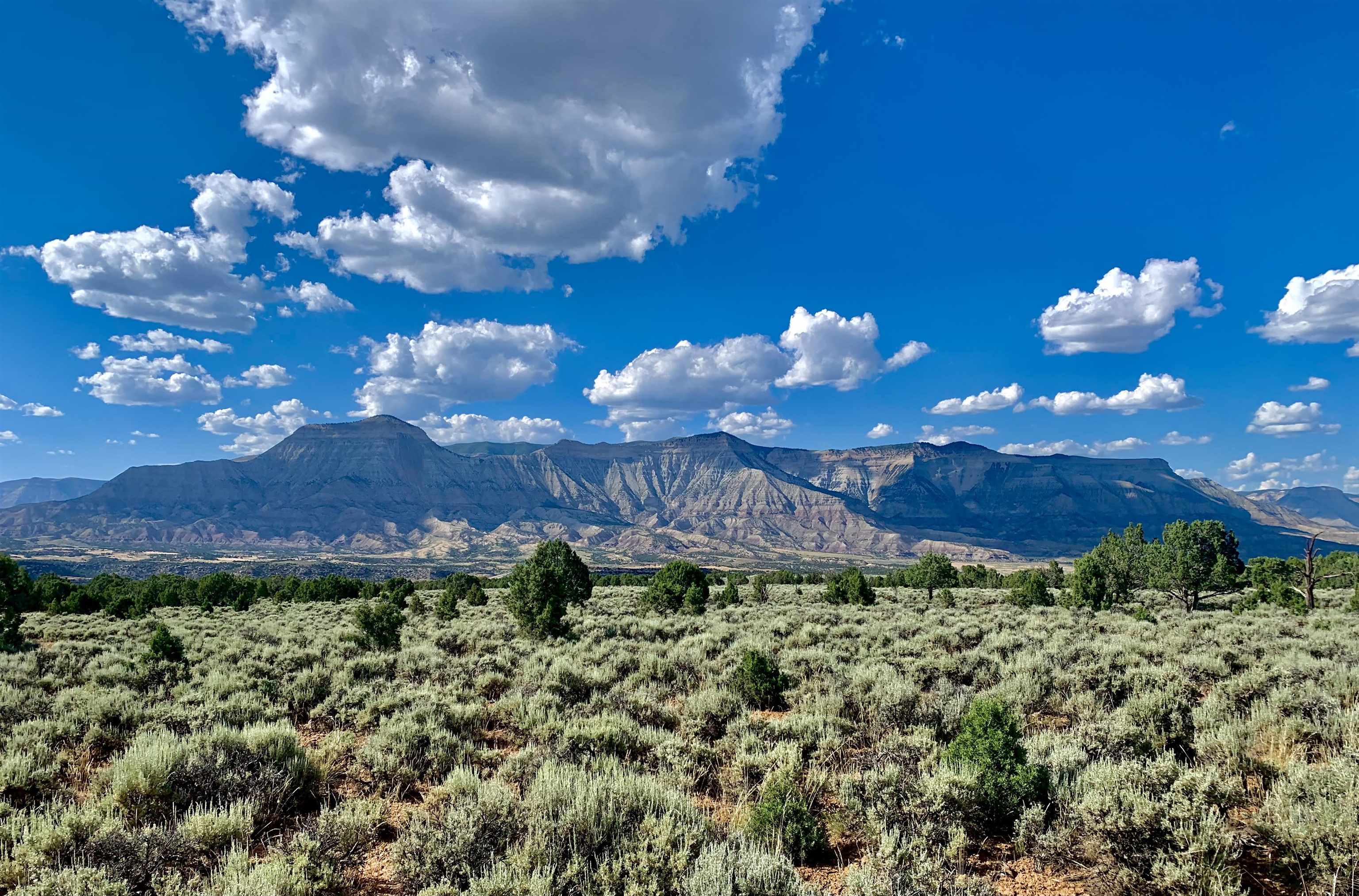 Tbd T Road De Beque, CO 81630 - Photo 5 of 25 a view of a bunch of flowers