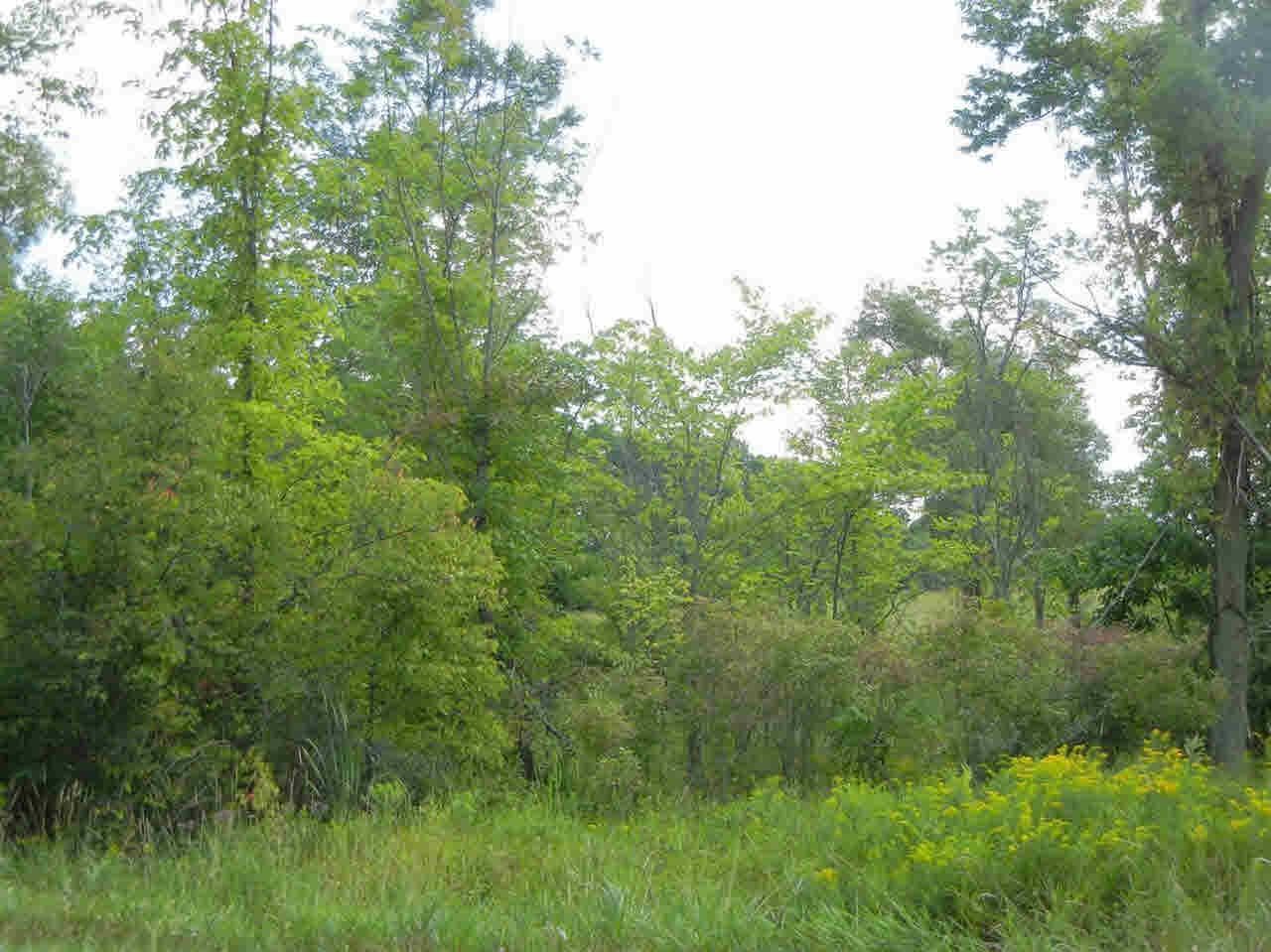 0 Brewer Road Owosso, MI 48867 - Photo 2 of 3
